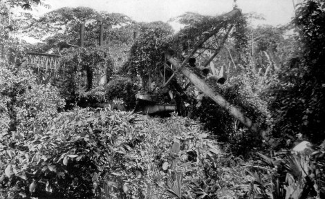 Image - 'Defeated by the mosquito and abandoned to the jungle' from The National Geographic Magazine, February 1922